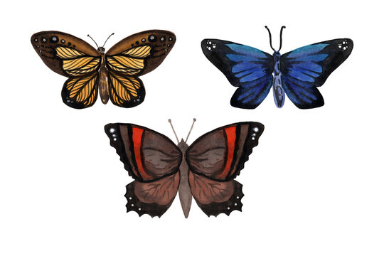 Watercolor set of multicolored butterflies