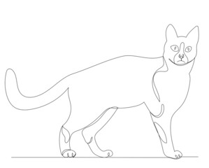 cat contour one line sketch vector