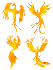 watercolor phoenix bird silhouette ,on white background, vector