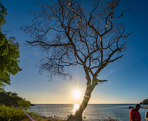 Views around the Caribbean Island of Curacao 