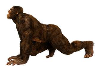 Fototapeta premium 3D Rendering Sasquatch on White