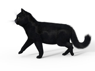 3d render of a charming realistic domestic cat isolated on white