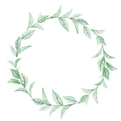 Round frame made of twigs of the Ruscus plant, painted in watercolor. Watercolor drawing of plants, isolated on white background, copy space. Simple floral wreath.