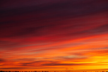 Sunset over the forest, red, yellow, purple cloud