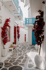 Picturesque narrow blue and white cobble street and traditional Greek houses in Mykonos Island, Greece