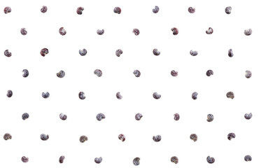 Poppy seeds isolated on white seamless pattern. Extreme close-up