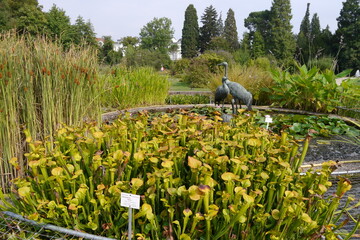 Botanischer Garten am Schloss Poppelsdorf