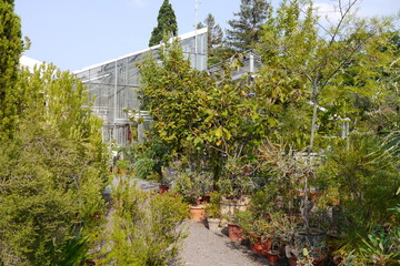 Botanischer Garten in Bonn