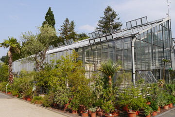 Botanischer Garten in Bonn