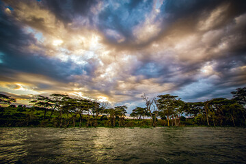 The unnatural-looking, dramatic sky and dead, bare trees rising from the waters of Lake Naivasha,...