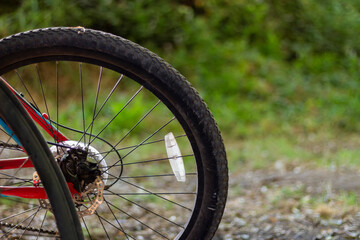 Fototapeta premium Bicycle back wheel receiving afternoon sunlight. Green foliage background