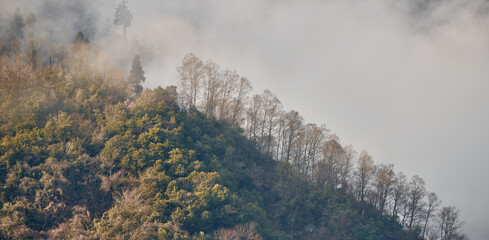 Sichuan, Hailuogou
海螺沟
China