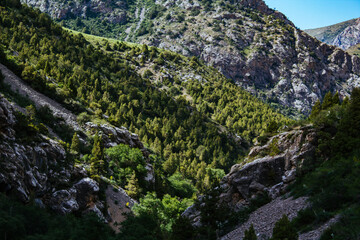mountain gorge under sky with clouds
