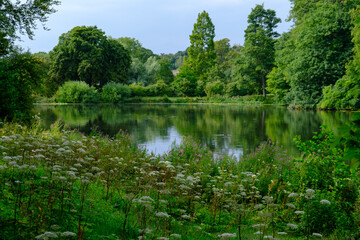 Fototapeta na wymiar Beautiful landscape of trees foliage and a Pond in West Yorkshire in the United Kingdom
