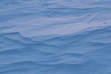 Snow in the field close-up. The texture of snow waves. The concept of cold and winter. - 486074322