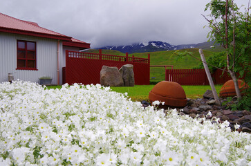 Breathtaking beautiful nature landscape scenic scenery view of Grundarfjordur in Iceland with green...