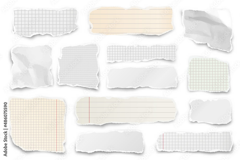 Canvas Prints ripped paper strips. realistic crumpled paper scraps with torn edges. shreds of notebook pages. vect