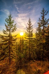 Muurstickers Coniferous trees grow in highland against giant mountains © YouraPechkin