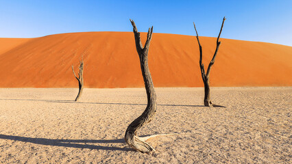 Deadvlei is a white clay pan located near the more famous salt pan of Sossusvlei, inside the Namib-Naukluft Park in Namibia.	

