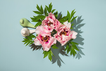 Сomposition of three pink flowers of tree peony on blue background.  Top view, copy space, flat lay. Floral background.