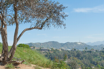 Obraz premium Runyon Canyon