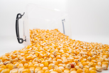 Small corn kernels on a monochrome background