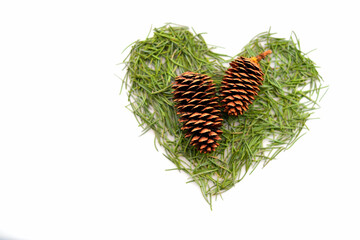 Valentine's Day with needles from a Christmas tree in a cone