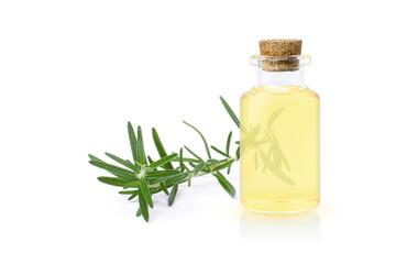Bottle of essential oil with green rosemary leaves isolated on white background.
