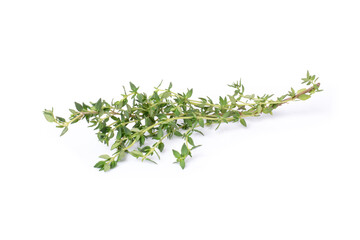 Fresh thyme sprig herbs isolated on white background.