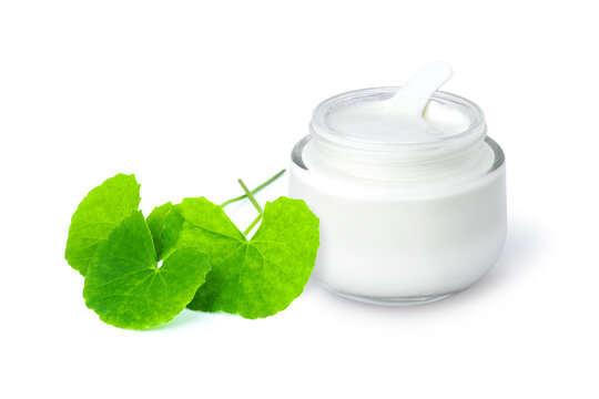 Centella Asiatica Leaves (gotu Kola, Indian Pennywort Leaf) With Cosmetic Beauty Skin Care Cream In Glass Jar Isolated On White Background.