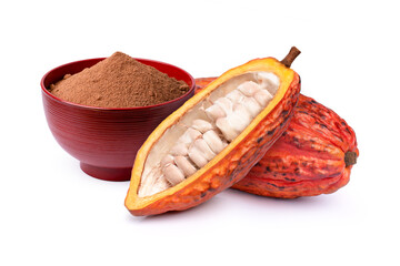 Cocoa powder in red bowl and fresh red cacao pod isolated on white background.