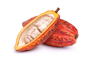 Fresh cocoa fruits with half sliced and isolated on white background