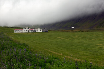 Verlassenes Haus bei Flateyri - Island