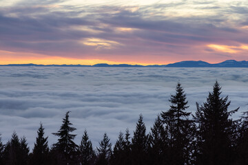 Canadian Nature View of Evergreen Trees on a mountain above the clouds. Dramatic Winter Sunset. Taken at Cypress Lookout, Vancouver, British Columbia, Canada. Background