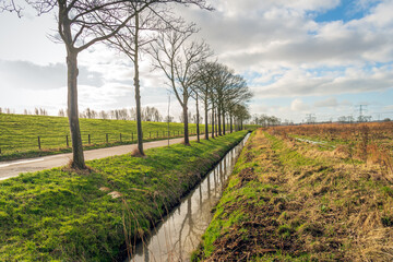 Fototapeta na wymiar Backlit shot of a colorful Dutch polder landscape with a dike, trees and a ditch. The photo was taken on a cloudy winter day near the city of Dordrecht, province of South Holland.