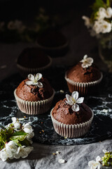 Delicious Mothers day eaaster spring gluten free dairy free chocolate cupcakes with spring flowers and sunny licht. Spring brunch ideas. Sunday tee time. Breakfast.