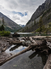 Fototapeta na wymiar dried tree trunks lie in the water of a mountain lake
