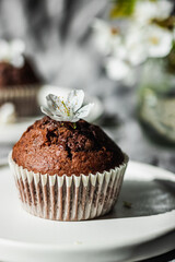 Delicious Mothers day eaaster spring gluten free dairy free chocolate cupcakes with spring flowers and sunny licht. Spring brunch ideas. Sunday tee time. Breakfast.