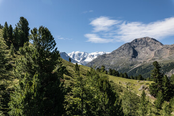 Obraz premium Wandern