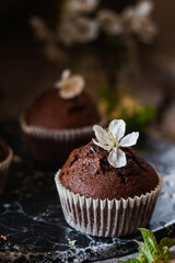 Delicious Mothers day eaaster spring gluten free dairy free chocolate cupcakes with spring flowers and sunny licht. Spring brunch ideas. Sunday tee time. Breakfast.