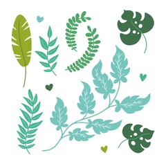 Set of green vibrant jungle leaves. Vector illustration