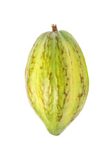 Fresh yellow cacao pods isolated on a white background
