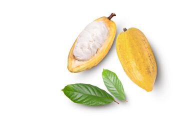 Fresh yellow cocoa pod with green leaves and cut in half sliced isolated on white background. 