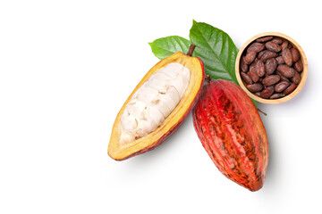 Fresh red cocoa fruit with bean