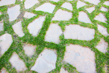 Gray paving slabs, paved path, among greenery in a shady park. Shallow depth of field Paving slabs....