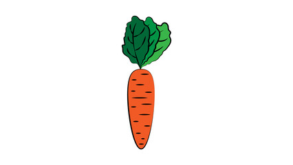 carrots on a white background, vector illustration. bright, orange, long carrot with a lush green tail, vegetable crop, healthy vegan food, vegan food pattern