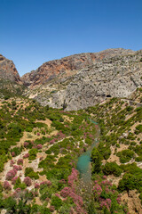 Fototapeta na wymiar Springtime landscape in El Chorro, Malaga