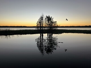 sunrise on the lake