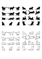 白黒猫イラスト　BLACK &White cat  illustration
