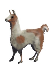 illustration of a white llama with orange spots